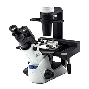 奥林巴斯CKX53倒置显微镜