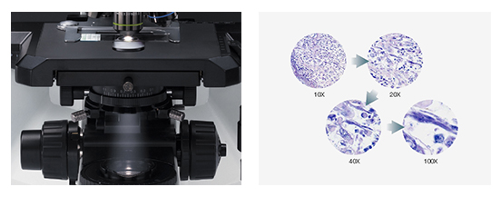 影响奥林巴斯BX43显微镜视野大小的因素